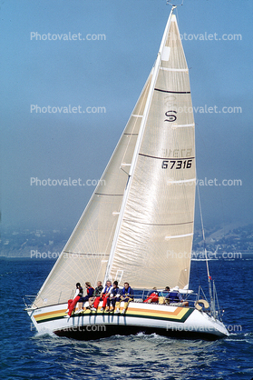 Sailing the Bay, San Francisco, Sails, Wind