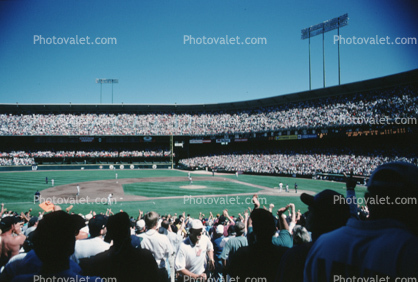 Crowds, Fans