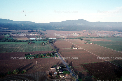 Napa Valley Hot Air Balloons