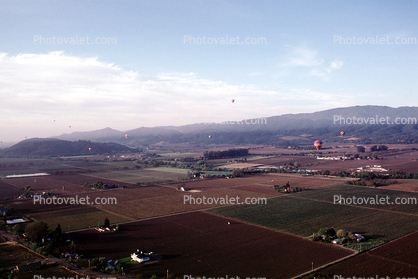 Napa Valley Hot Air Balloons
