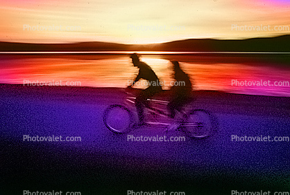 Bicycle Built for Two, Tiburon Linear Park, Bay, water, sunset
