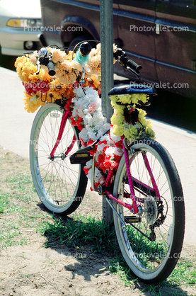 Girls Bicycle with Flowers