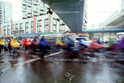 Bicyclist riding in the rain, crosswalk
