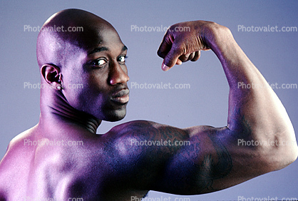 Muscular Guy