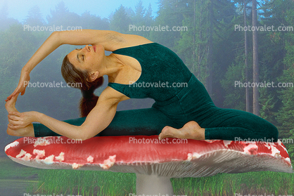 Sonoma County Mushroom Yoga, Jan Zeitlin Yoga