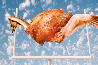 Thanksgiving, Turkey, Goal Post