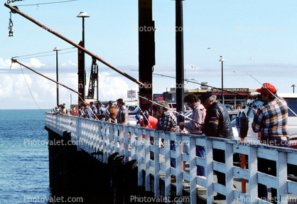 Pier, Fishing, Ocean, guys, men, railing