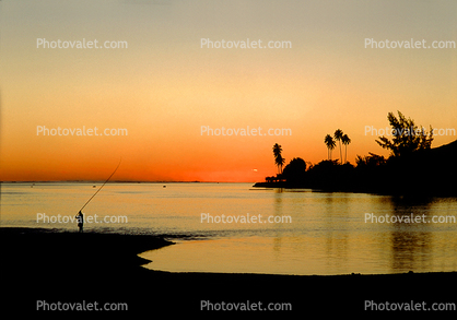 Sunset over the Water, Lagoon, Pacific Ocean, Palm Trees