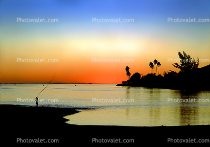 Sunset over the Water, Lagoon, Pacific Ocean, Palm Trees