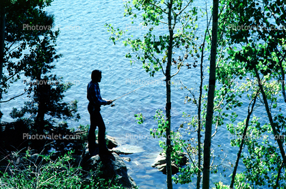 Fishing Pole, Lake, Trees, Man