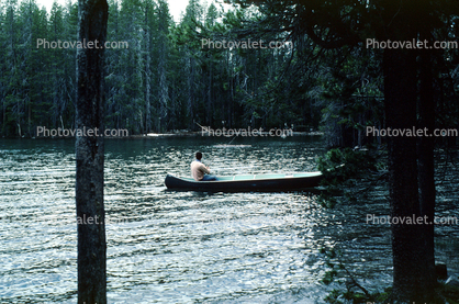 Canoe, Lake, Trees