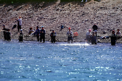 salmon fishing, fishermen