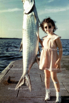 fish catch, Girl, Pier, Saint Petersburg, Florida, 1940s