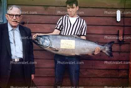 65 pound king salmon, boy, man, glasses, pipe, 1950s, fish catch