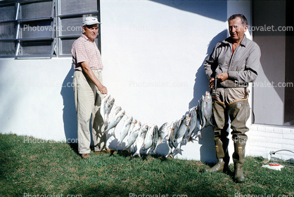 fishermen, man, rod & reel, fish catch, waders, 1964, Florida, 1960s