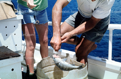 fish catch, Galapagos