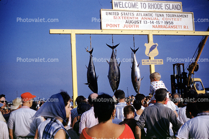 United States Atlantic Tuna Tournament, Point Judith, Narragansett, Rhode Island, fish catch, 1964, 1960s