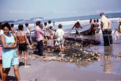 Beach, Sand, Waves, Ocean, nets, Mexico, 1974, 1970s