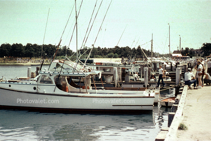 docks, harbor, Hyannis, Cape Cod, Massachusetts, 1955, 1950s