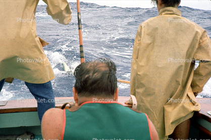 boat wake, ocean, water, 1964, 1960s