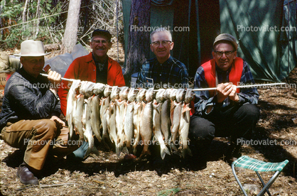 fish catch, fishermen, trout, 1967, 1960s