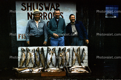 Fish catch, Shuswar Narrows, Cinnemousun Narrows Provincial Park, British Columbia, 1950s