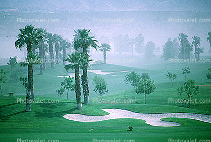 desert storm, golf course, Wind, Palm Springs