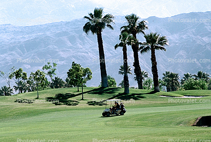 Golf Cart, mountains, Palm Trees, Palm Springs