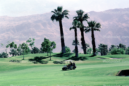 Golf Cart, Palm Trees, mountains