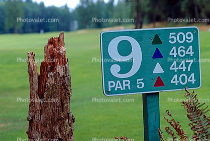 Hole #9, Man, Putting, Golfer, Golf Course in Blaine, Washington State