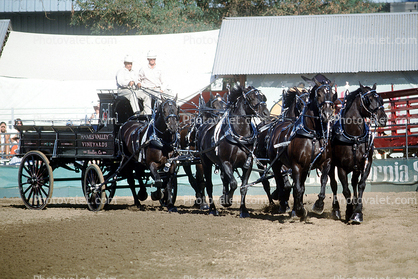 Horses, Cart, freight wagon