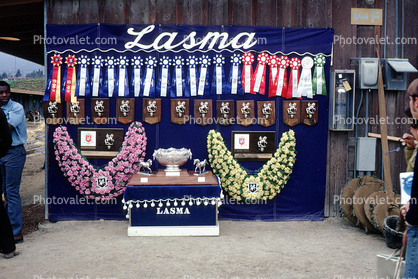 Lasma, awards, ribbons, prize, trophy