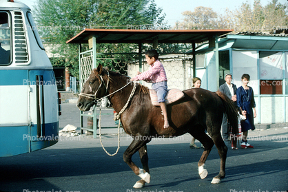 Boy riding a horse