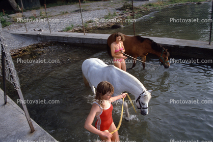 Girl, Woman, Pony, Water