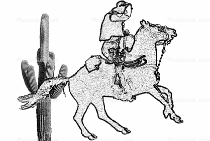Cactus, Cowboy, Melancholy West
