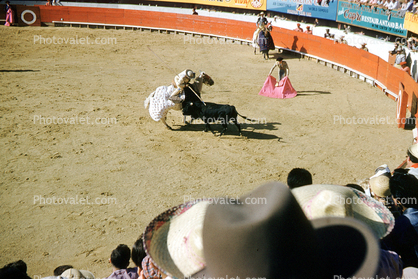 Bullring, Horse rider, matador