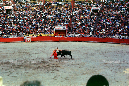 Bullring, Matador and Bull
