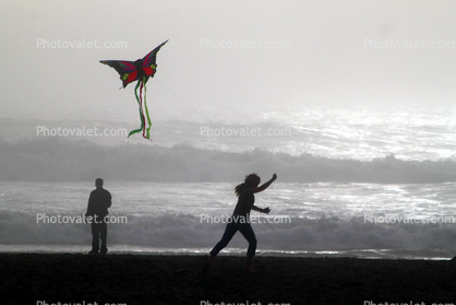 Butterfly kite along the beach, Ocean Beach, Ocean-Beach