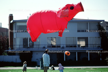 Pink Pig, Flying a Kite