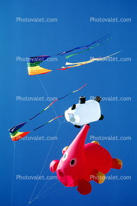 Pink Elephant, Panda Kite, Opening Day, Crissy Field, Celebration, May 6, 2001
