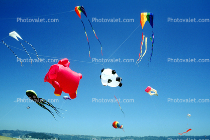 Pink Elephant, Panda Kite, Octopus Kite, Opening Day, Crissy Field, Celebration, May 6, 2001