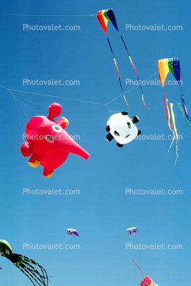 Pink Elephant, Panda Kite, Opening Day, Crissy Field, Celebration, May 6, 2001