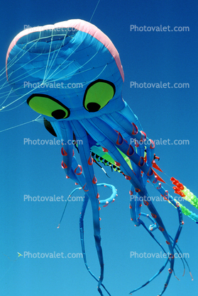 Octopus Kite, Opening Day, Crissy Field, Celebration, May 6, 2001
