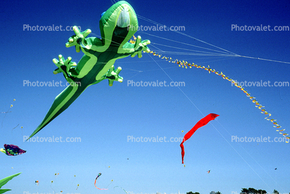 Alligator Kite, Lizard, Opening Day, Crissy Field, Celebration, May 6 , 2001