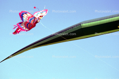 Butterfly Kite, Alligator, Opening Day, Crissy Field, Celebration, May 6, 2001, Lizard