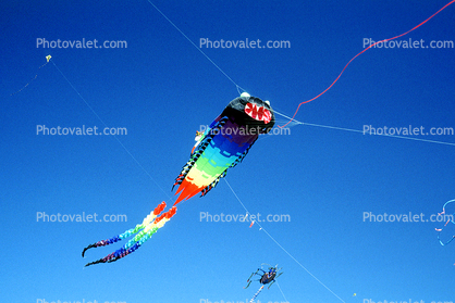 Dragon Kite, Opening Day, Crissy Field, Celebration, May 6, 2001