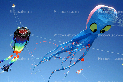 Octopus Kite, Opening Day, Crissy Field, Celebration, May 6, 2001