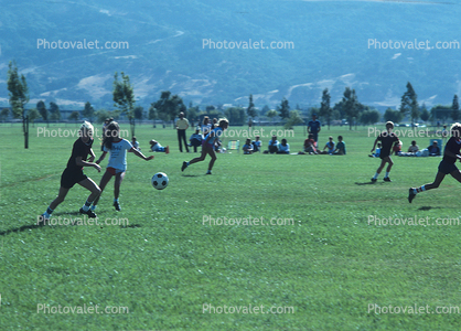 Ball, Girl Players, Field, Pleasanton Sports and Recreation Park