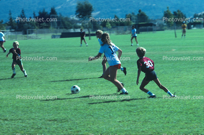 Field, Boys, Girls, Running, Playing, Kicking, Soccer Ball, Pleasanton Sports and Recreation Park