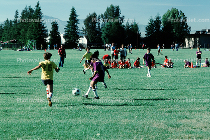 Field, Boys, Running, Playing, Kicking, Soccer Ball